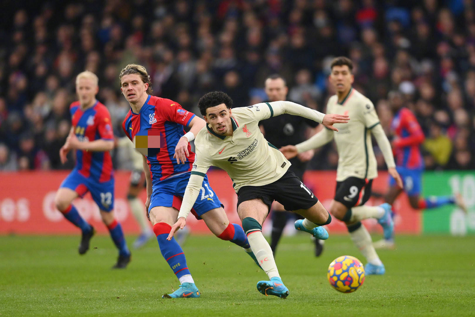 在比赛的上 在比赛的上